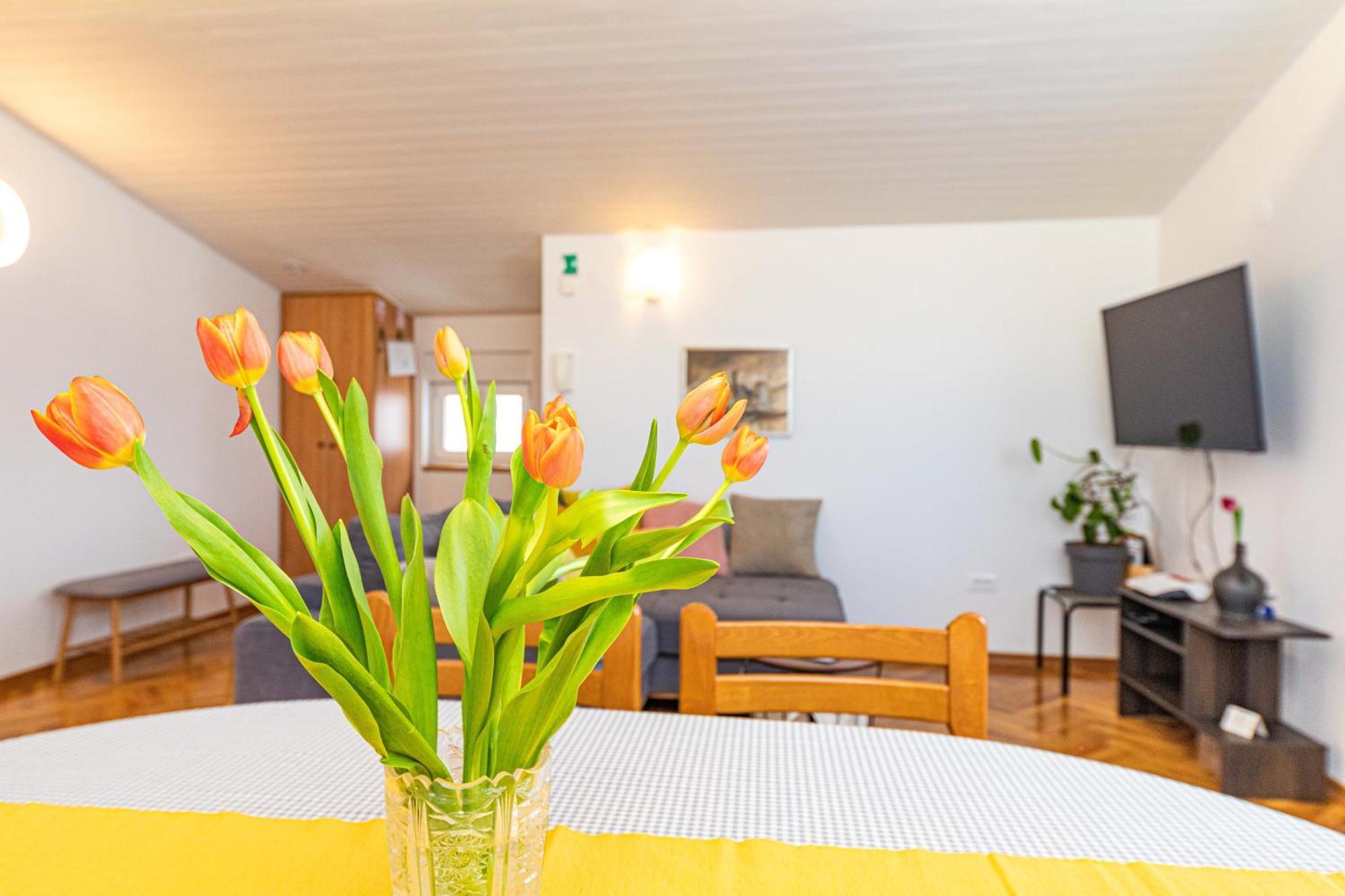 Apartment Iskra Stobrec